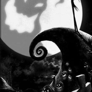 Meet your Posher, Tabitha